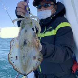 きずなまりん 釣果