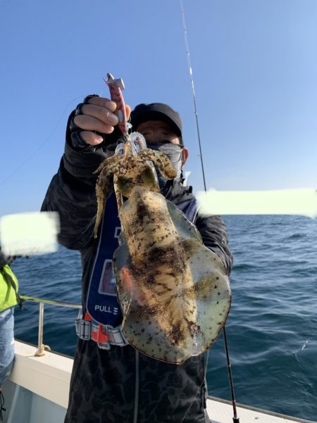 きずなまりん 釣果