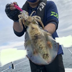 きずなまりん 釣果