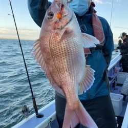 新幸丸 釣果