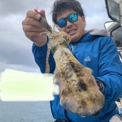 きずなまりん 釣果