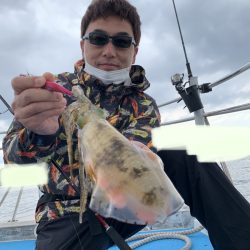 きずなまりん 釣果