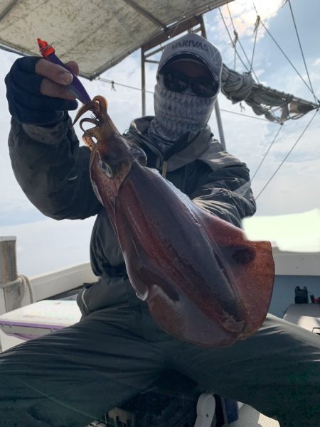 きずなまりん 釣果