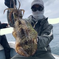 きずなまりん 釣果