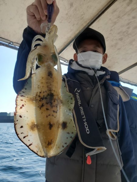 ソルトウォーターガイドフレンズ 釣果