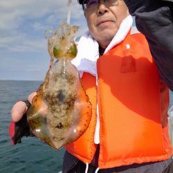 ソルトウォーターガイドフレンズ 釣果