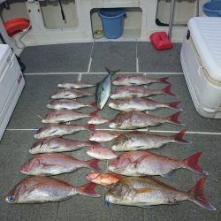 ARCADIAⅡ （アルカディアⅡ） 釣果