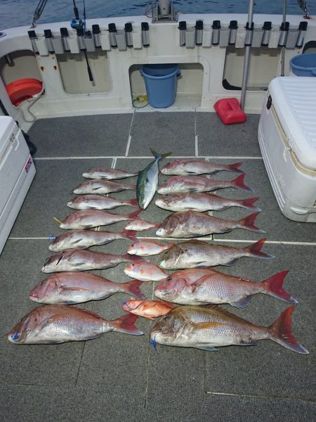 ARCADIAⅡ （アルカディアⅡ） 釣果