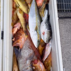 第二龍勢丸 釣果