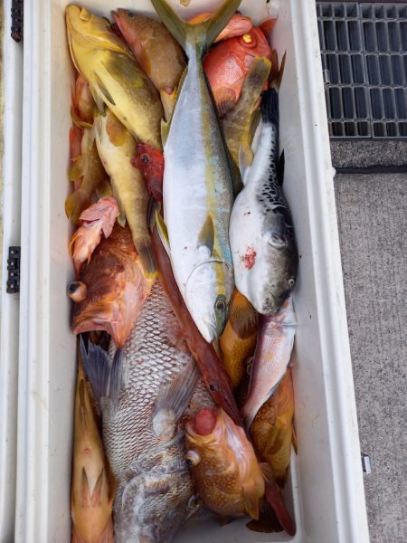 第二龍勢丸 釣果