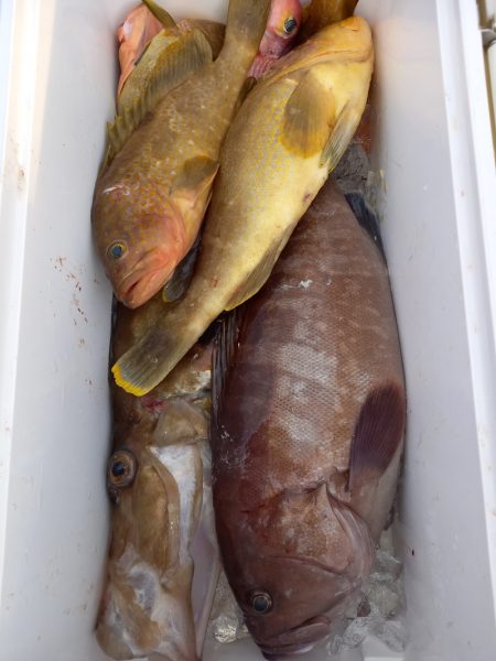 第二龍勢丸 釣果