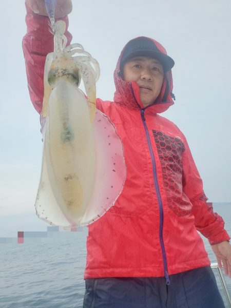 ソルトウォーターガイドフレンズ 釣果