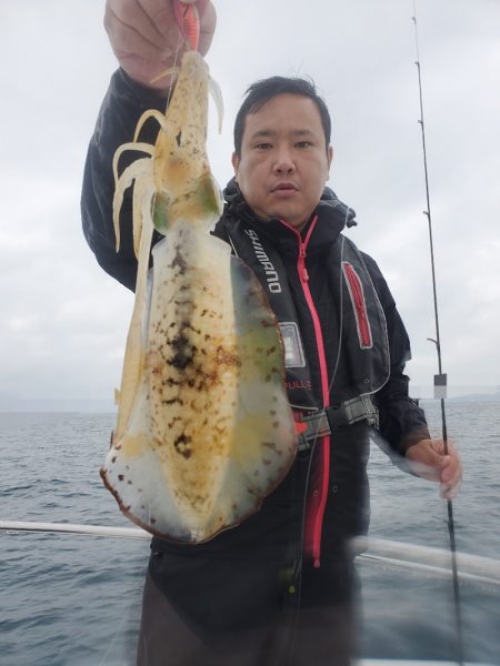 ソルトウォーターガイドフレンズ 釣果