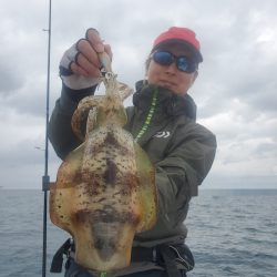 ソルトウォーターガイドフレンズ 釣果