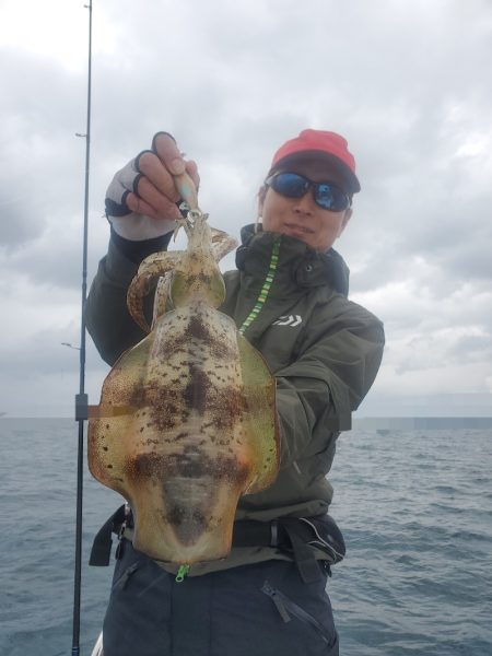 ソルトウォーターガイドフレンズ 釣果