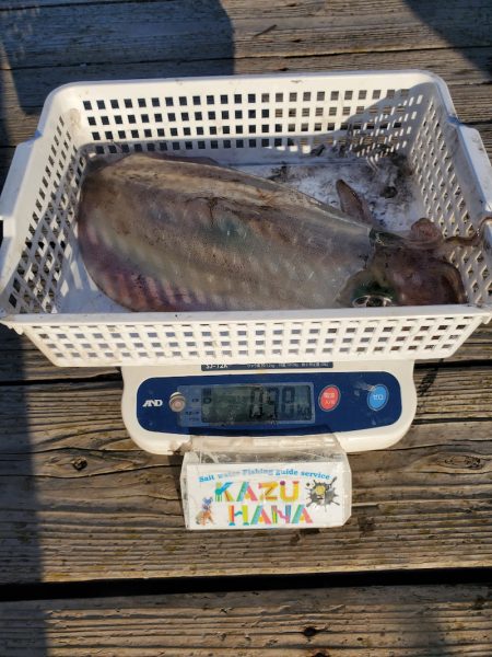 一華丸 釣果