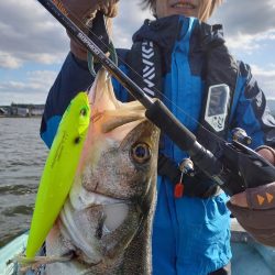 アマテラス 釣果