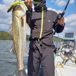 アマテラス 釣果