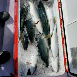 海龍丸（石川） 釣果