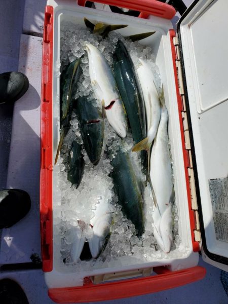 海龍丸（石川） 釣果