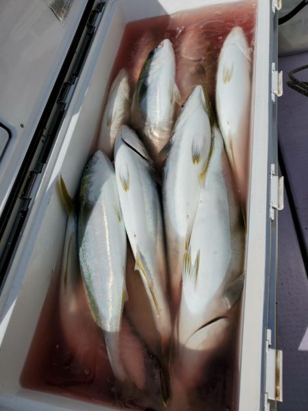 海龍丸（石川） 釣果