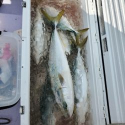 海龍丸（石川） 釣果