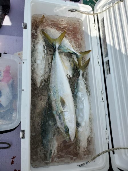 海龍丸（石川） 釣果