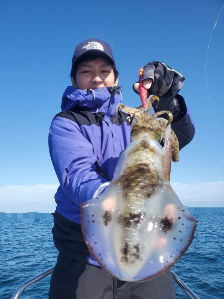 ソルトウォーターガイドフレンズ 釣果