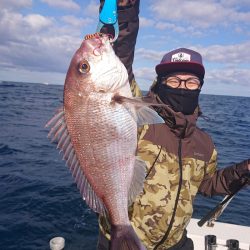 ARCADIAⅡ (アルカディアⅡ) 釣果