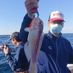 ARCADIAⅡ (アルカディアⅡ) 釣果