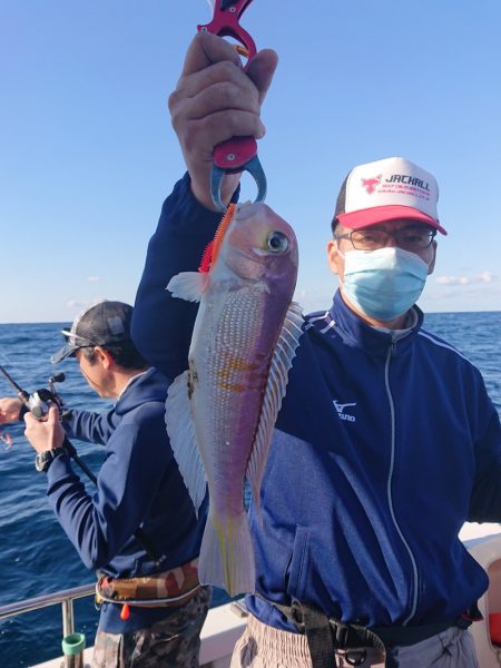 ARCADIAⅡ (アルカディアⅡ) 釣果