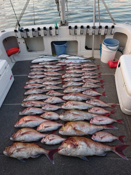 ARCADIAⅡ (アルカディアⅡ) 釣果