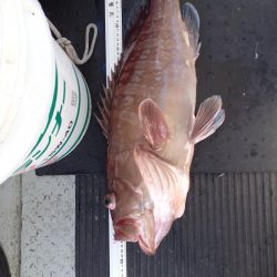 第二龍勢丸 釣果