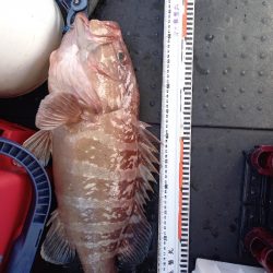 第二龍勢丸 釣果