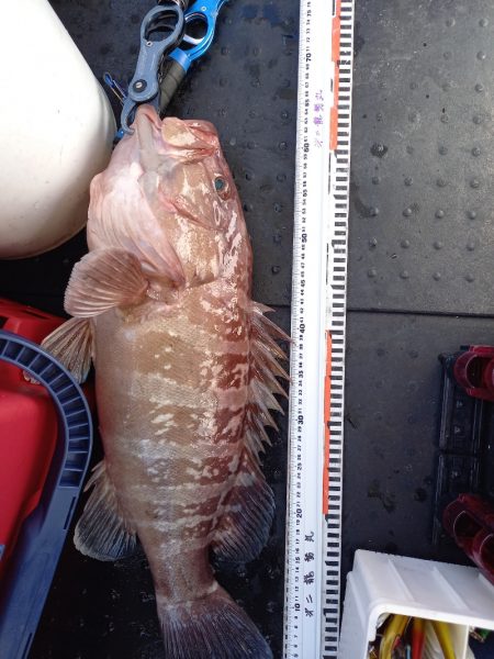 第二龍勢丸 釣果