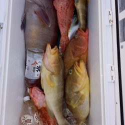 第二龍勢丸 釣果