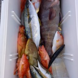 第二龍勢丸 釣果