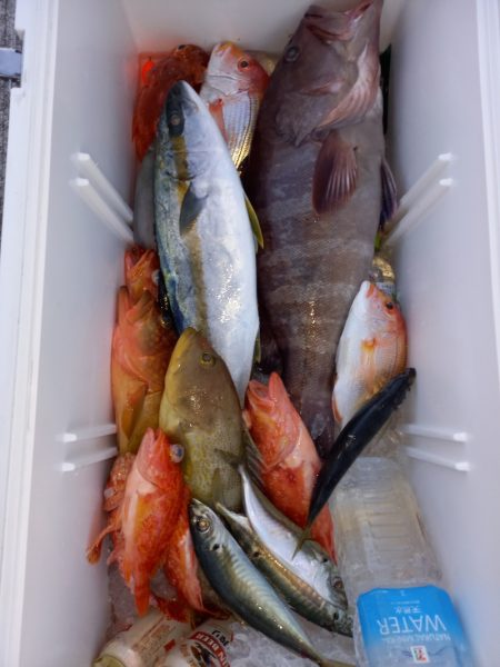 第二龍勢丸 釣果