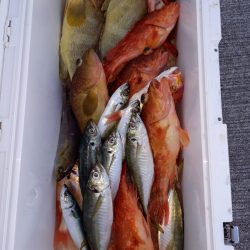 第二龍勢丸 釣果