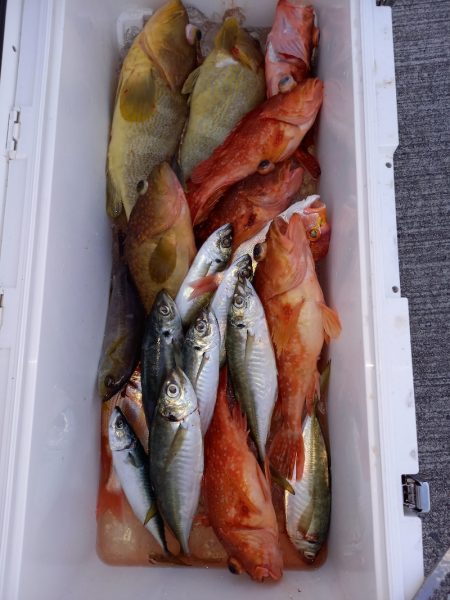 第二龍勢丸 釣果