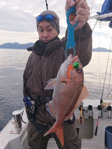 ARCADIAⅡ (アルカディアⅡ) 釣果