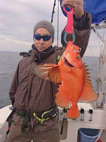 ARCADIAⅡ (アルカディアⅡ) 釣果