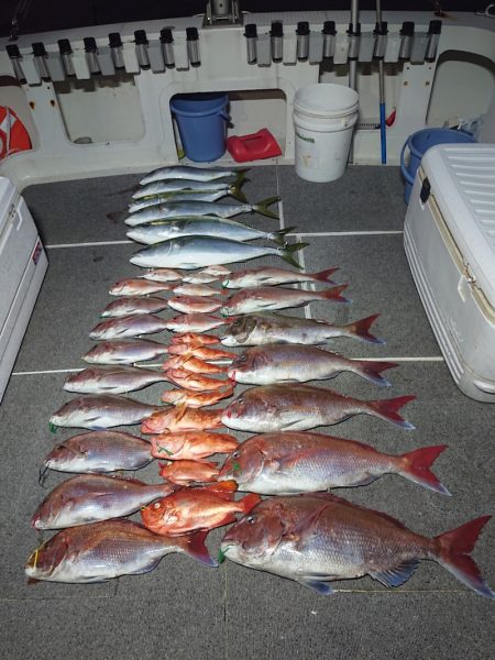 ARCADIAⅡ （アルカディアⅡ） 釣果…