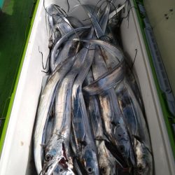 小島丸 釣果