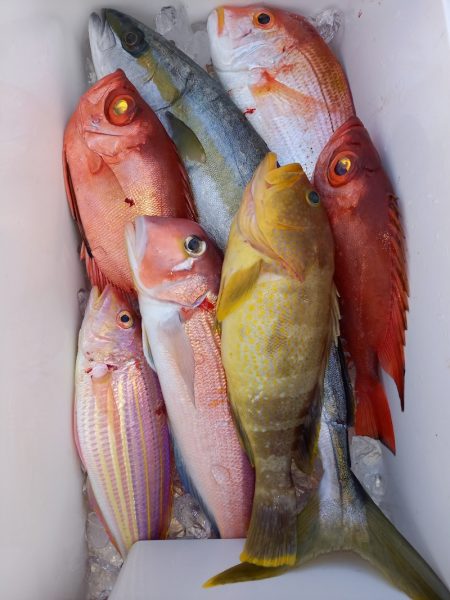 第二龍勢丸 釣果