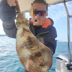 ソルトウォーターガイドフレンズ 釣果