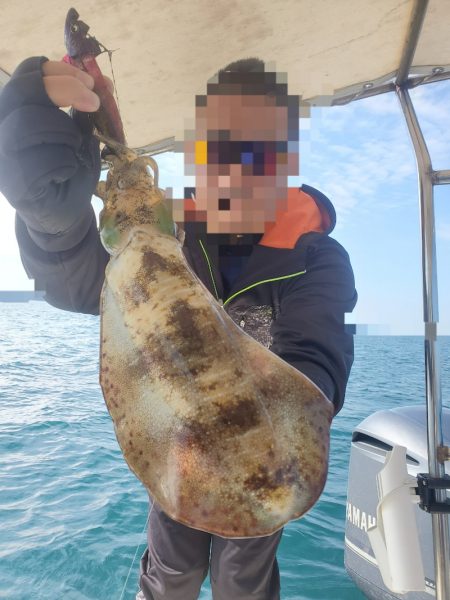 ソルトウォーターガイドフレンズ 釣果