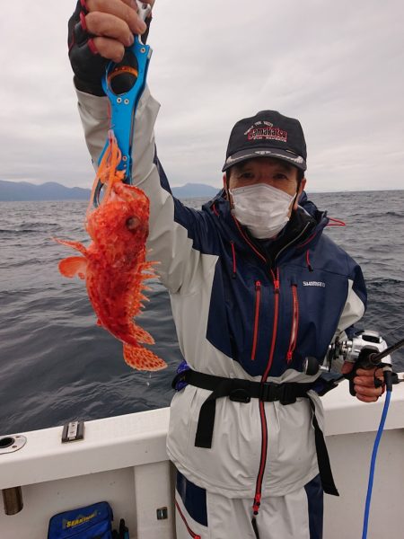 ARCADIAⅡ (アルカディアⅡ) 釣果