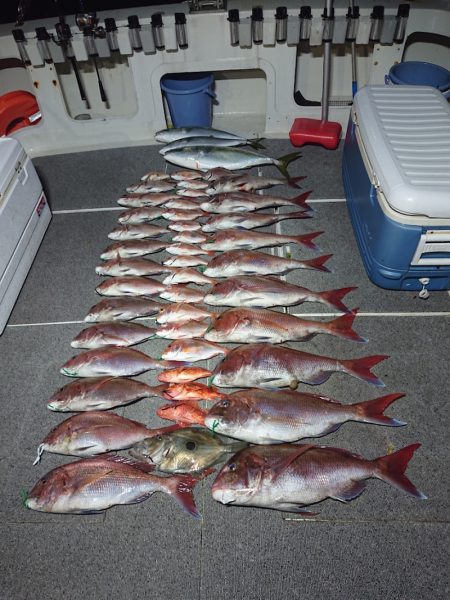 ARCADIAⅡ (アルカディアⅡ) 釣果