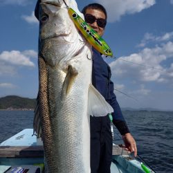 アマテラス 釣果